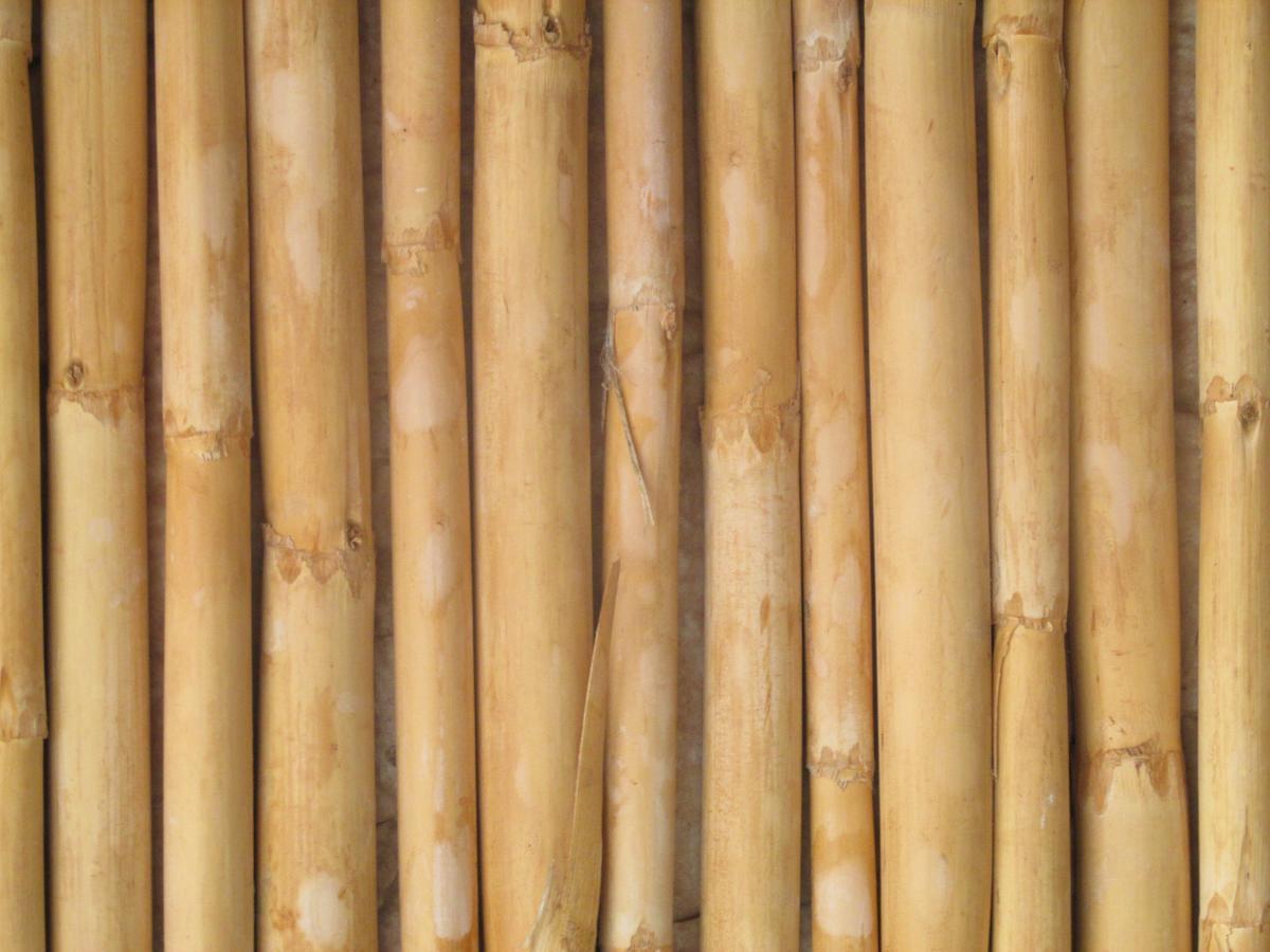 Las Cardas Posada Belén Buitenkant foto