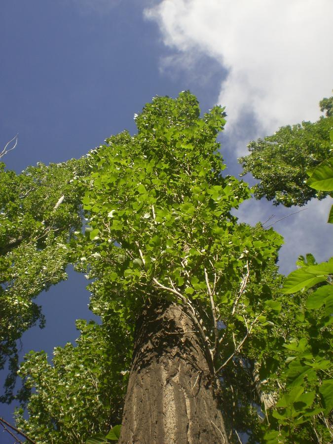 Las Cardas Posada Belén Buitenkant foto