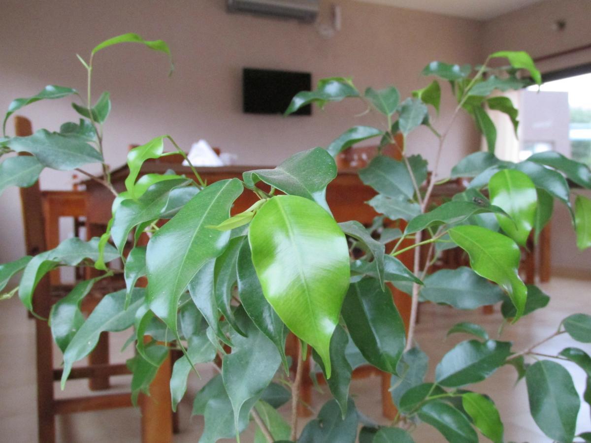 Las Cardas Posada Belén Buitenkant foto